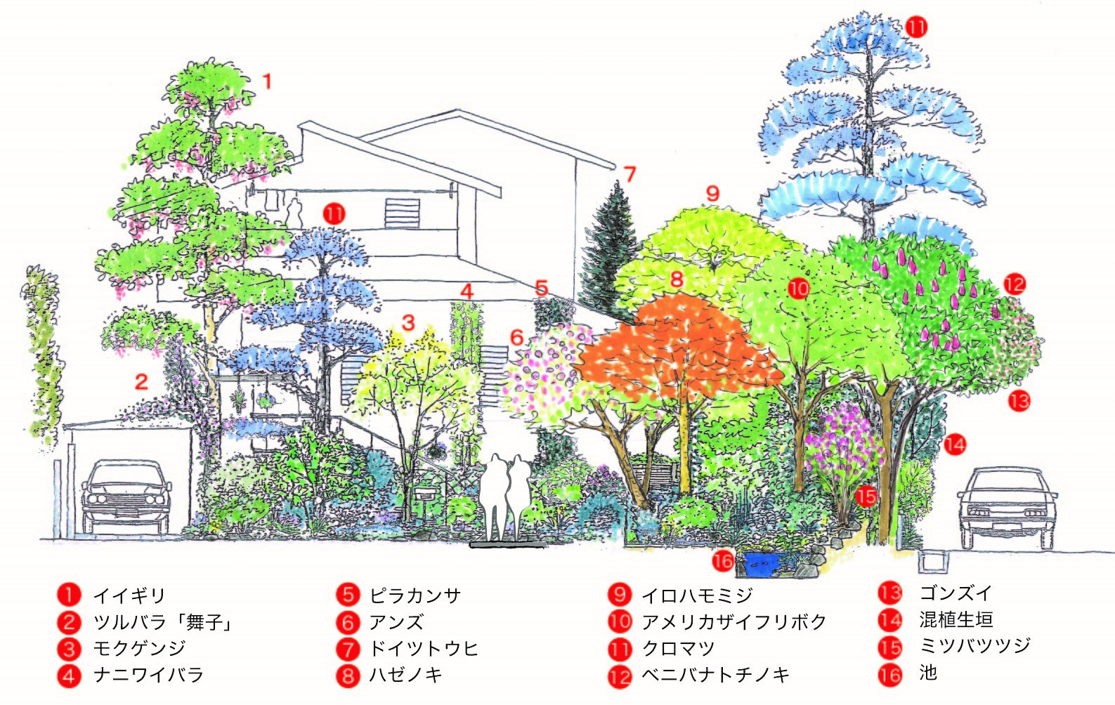 庭のみどりからのサービス 愛植物設計事務所